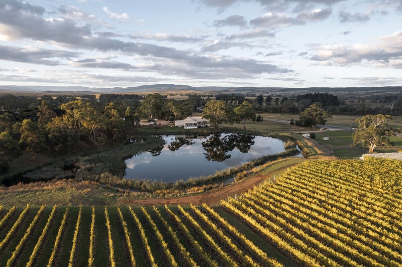 Milton Vineyard Tourism Australia