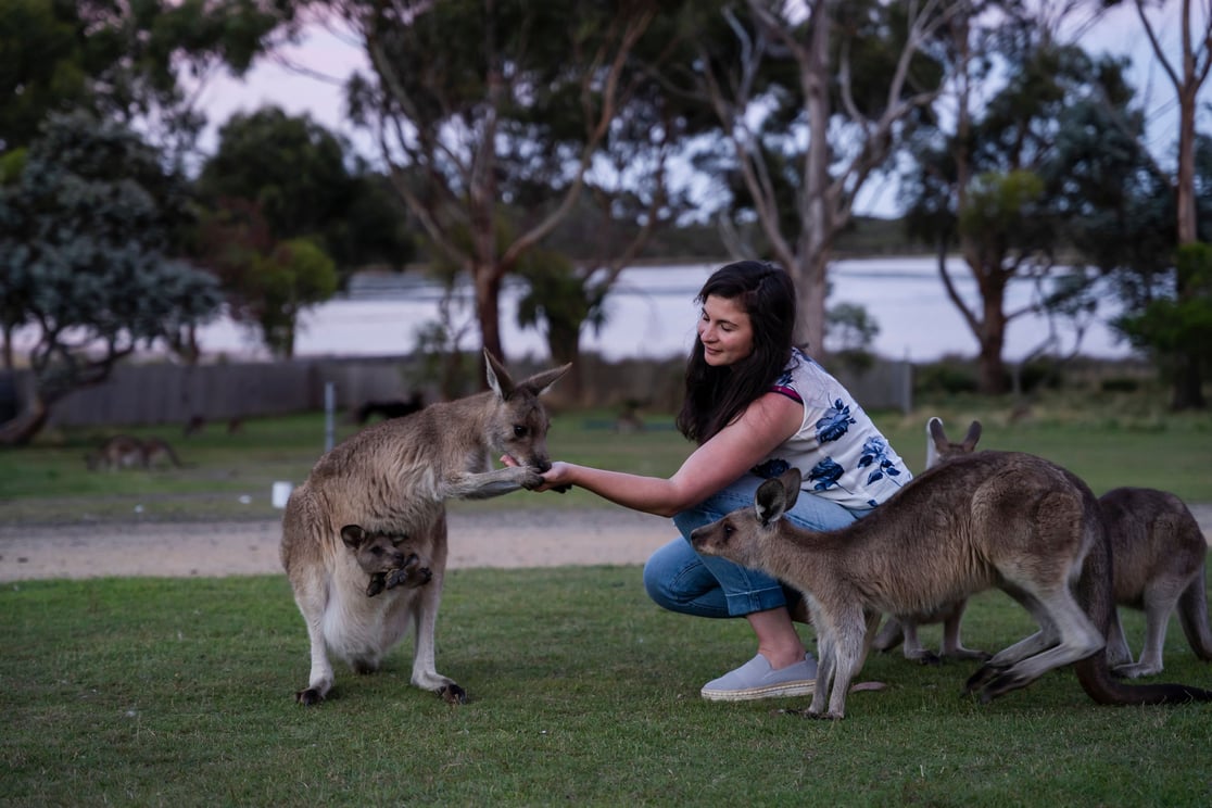 Tourism australia Wallabys and peerson ECNW