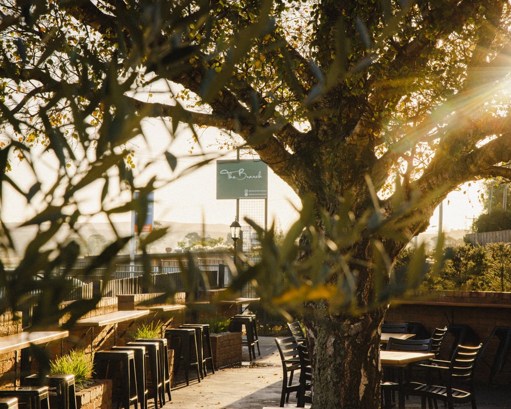the branch courtyard
